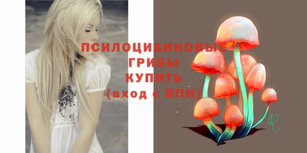 прущие грибы Алзамай