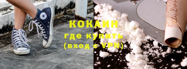 прущие грибы Алзамай