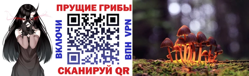 Псилоцибиновые грибы GOLDEN TEACHER  ссылка на мегу tor  Пустошка 