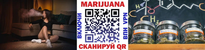 shop как зайти  цена   Пустошка  МАРИХУАНА сатива 